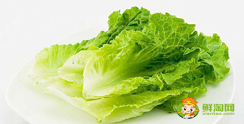 生菜可以生吃嗎,生菜的種植方法和時間