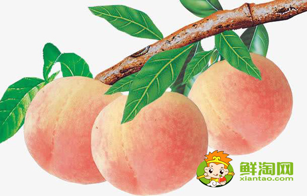 桃子產地主要在哪個省,桃子產地最多的地方是在哪里
