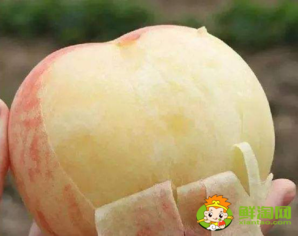 3斤大的桃子是什么品種,中國四大名桃產地