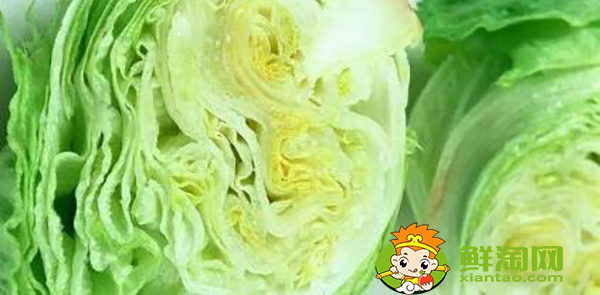 生菜可以烤嗎，團(tuán)生菜的功效與作用