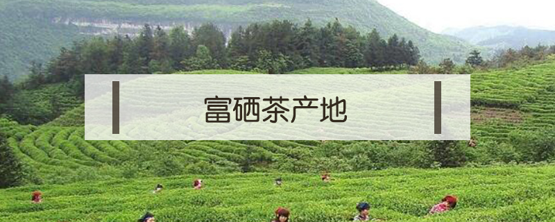 富硒茶產地