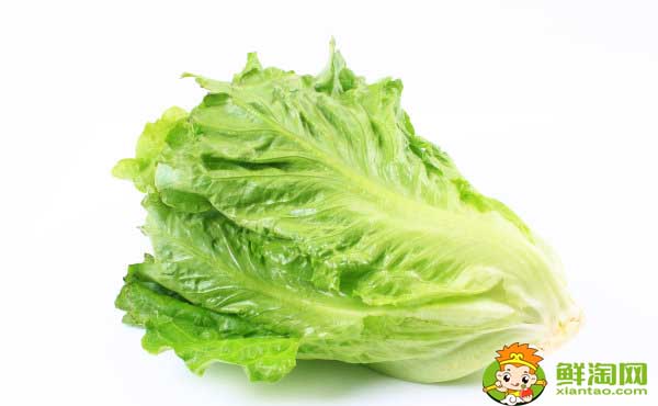 生菜的吃法有幾種,生菜為什么不長蟲