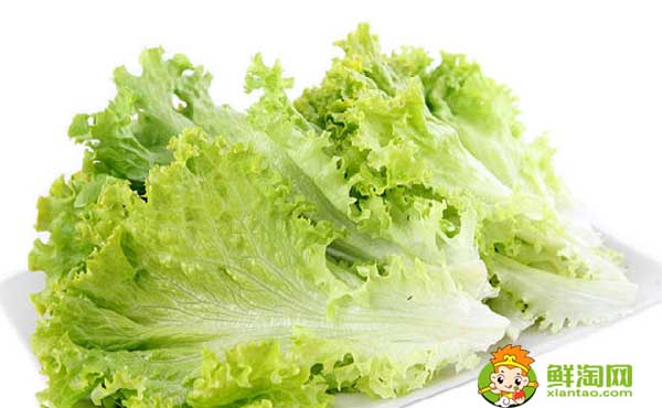 減肥吃生菜好嗎,減肥吃生菜和什么搭配