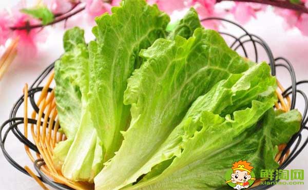 減肥吃生菜好嗎,減肥吃生菜和什么搭配