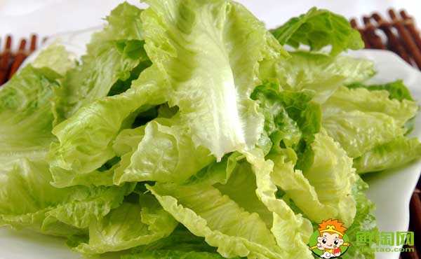 生菜怎么割還會長,生菜品種大全