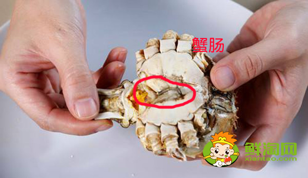 螃蟹哪里不能吃高清圖，螃蟹的吃法剝法圖解