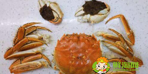 香辣大閘蟹的做法,怎么樣燒大閘蟹不掉腿