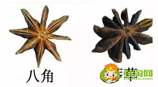 大料的真假如何區分,大料的價格與等級區分