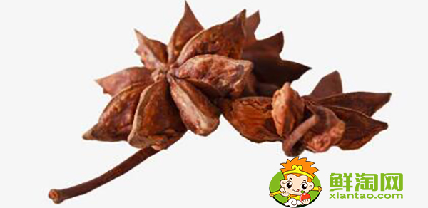 大料和八角是一個(gè)東西嗎,大料和八角的區(qū)別圖片