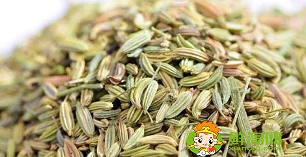 八角茴香怎么挑選，小茴香和八角茴香的區別