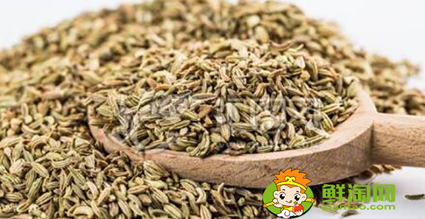 八角茴香怎么挑選，小茴香和八角茴香的區別
