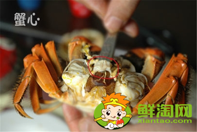 大閘蟹怎么吃新手，大閘蟹不能吃的部位圖