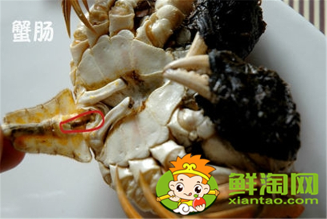 大閘蟹怎么吃新手，大閘蟹不能吃的部位圖