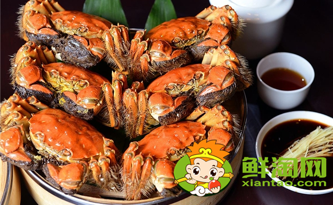 黃河口大閘蟹最佳季節(jié)，黃河口大閘蟹和陽澄湖大閘蟹的區(qū)別