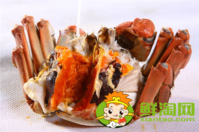 黃河口大閘蟹最佳季節(jié),黃河口大閘蟹和陽澄湖大閘蟹的區(qū)別