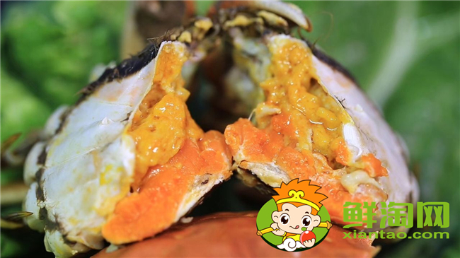 黃河口大閘蟹蒸多久，黃河口大閘蟹怎么存放