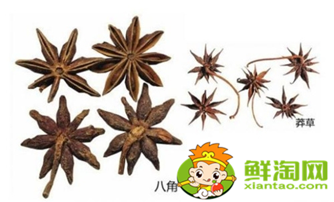 假八角中毒了怎么辦,吃了莽草怎么解毒
