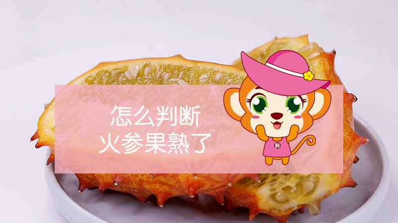 怎么判斷火參果熟了