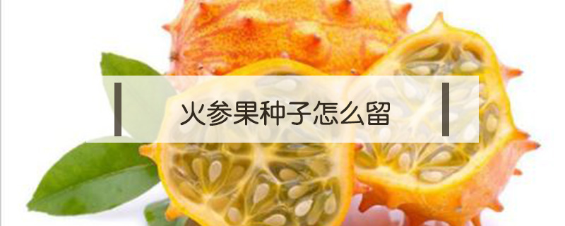 火參果種子怎么留