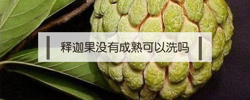 釋迦果沒(méi)有成熟可以洗嗎