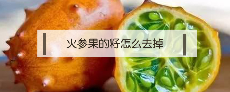 火參果的籽怎么去掉