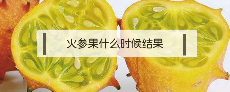 火參果什么時(shí)候結(jié)果