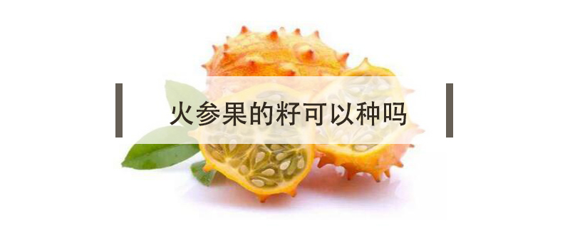 火參果的籽可以種嗎