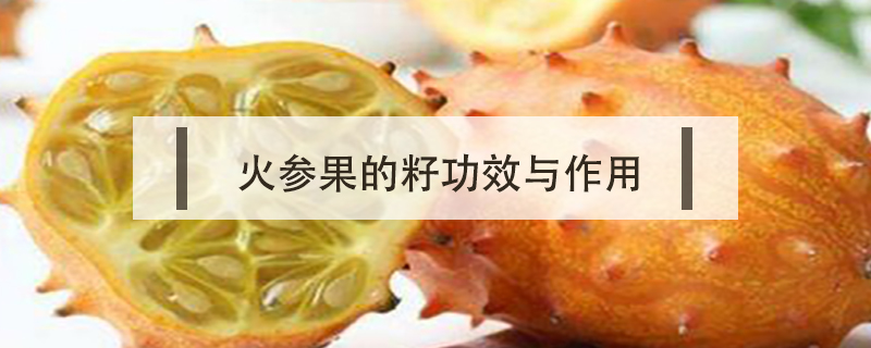 火參果的籽功效與作用