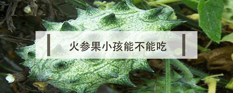 火參果小孩能不能吃