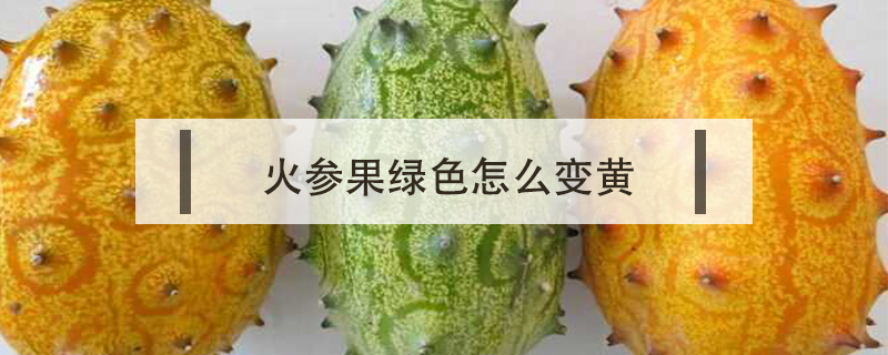火參果綠色怎么變黃
