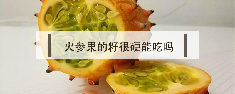 火參果的籽很硬能吃嗎
