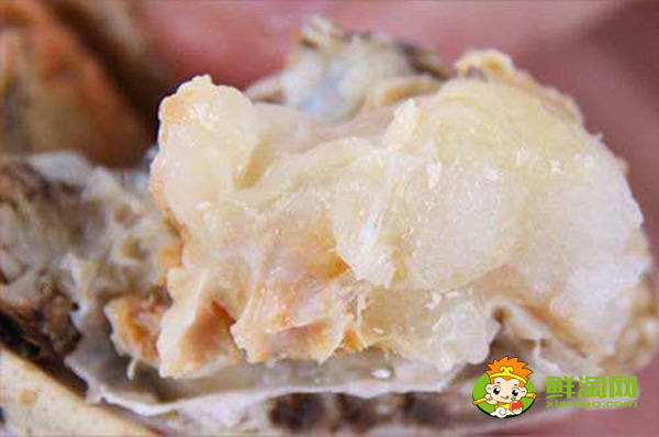 蟹黃和蟹膏分別是什么，梭子蟹蟹膏和蟹黃的區(qū)別