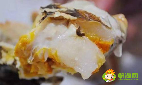 蟹膏長(zhǎng)什么樣子的圖片，面包蟹的蟹膏蟹黃是什么