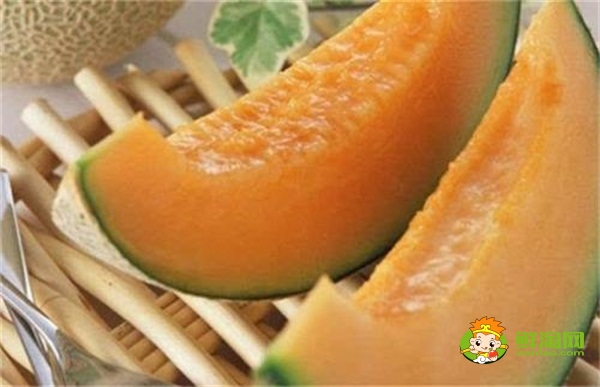 最甜的哈密瓜叫什么,哈密瓜太甜了什么情況