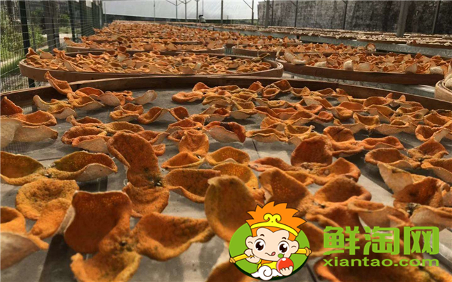哪里能買到正宗新會陳皮，新會陳皮核心產地