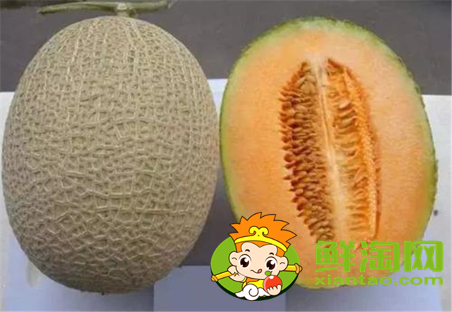 哈密瓜里面的囊能吃嗎,哈密瓜里面的籽能種嗎