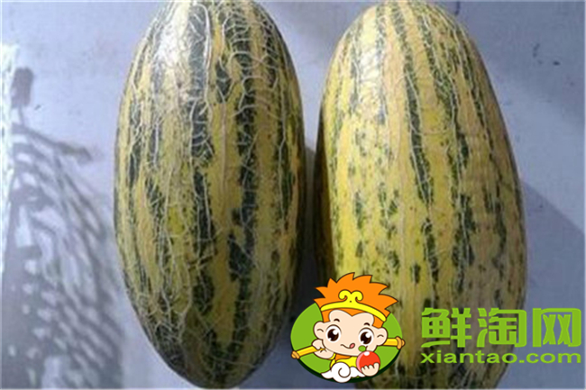 哈密瓜是什么和什么的雜交品種，什么品種的哈密瓜最好吃最甜