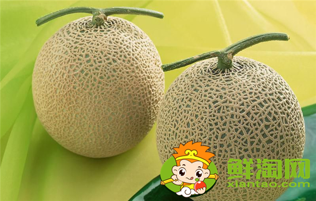 哈密瓜是什么和什么的雜交品種，什么品種的哈密瓜最好吃最甜