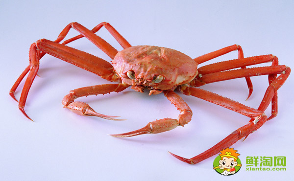 海蟹的黃為什么是苦的，蟹黃發(fā)苦是什么原因