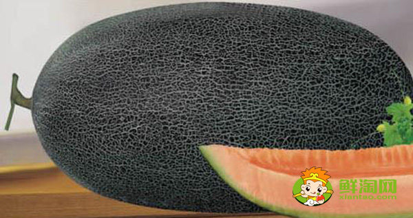 伽師瓜的吃法，伽師瓜都有哪些品種