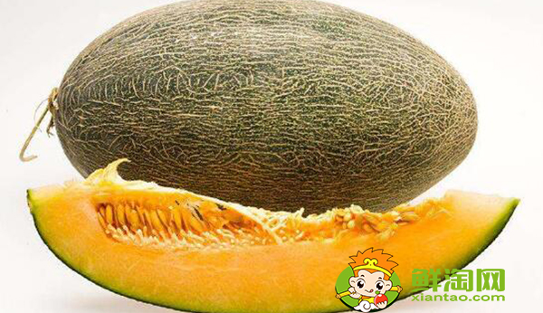 伽師瓜怎么吃，伽師瓜的功效與作用