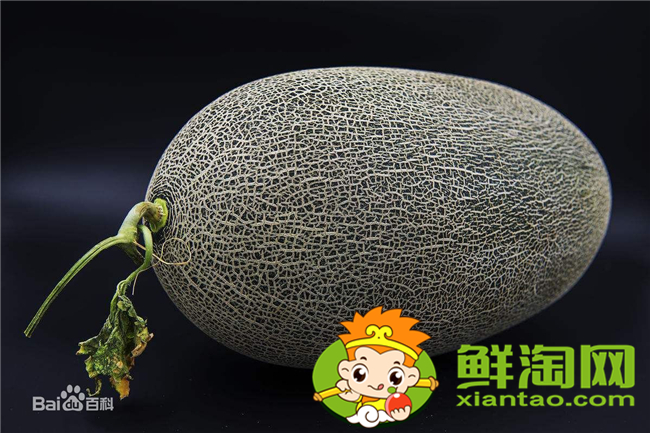 哈密瓜沒水分不甜什么原因，長得像哈密瓜的叫什么