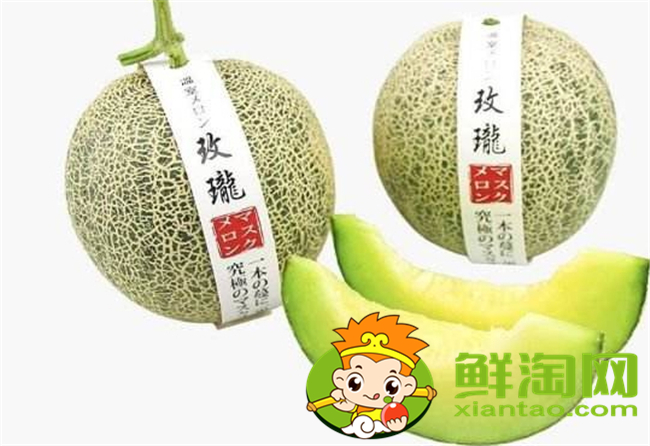 海南哈密瓜哪里種的多，海南哈密瓜品種大全