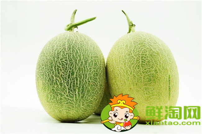 哈密瓜和網紋瓜是一個東西嗎，哈密瓜和網紋瓜的區別