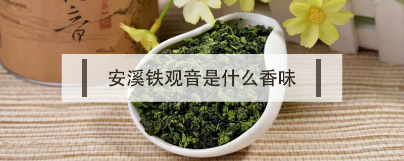 安溪鐵觀音是什么香味