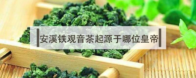 安溪鐵觀音茶起源于哪位皇帝