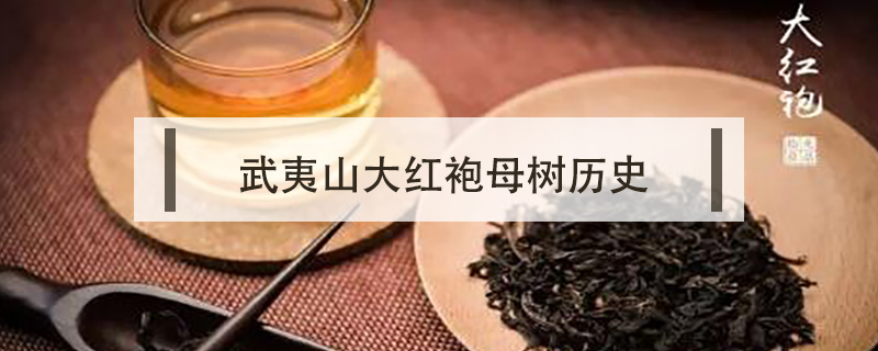 武夷山大紅袍母樹歷史