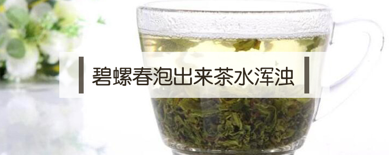 碧螺春泡出來茶水渾濁