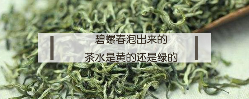 碧螺春泡出來的茶水是黃的還是綠的