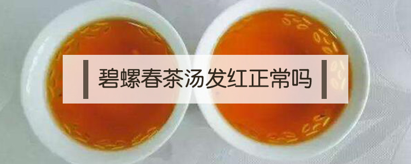 碧螺春茶湯發紅正常嗎